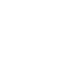 light logo